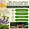 25 Pcs Natural Essential Oil Sets,Essential Oils for Diffuser, Humidifiers, Skin Care, Massage, Fragrance Oil Scent for DIY Candle and Soap Making, Gift for Friend (25 * 5ML)
